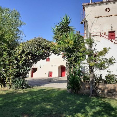 Pier Delle Vigne B&B Pineto Ngoại thất bức ảnh