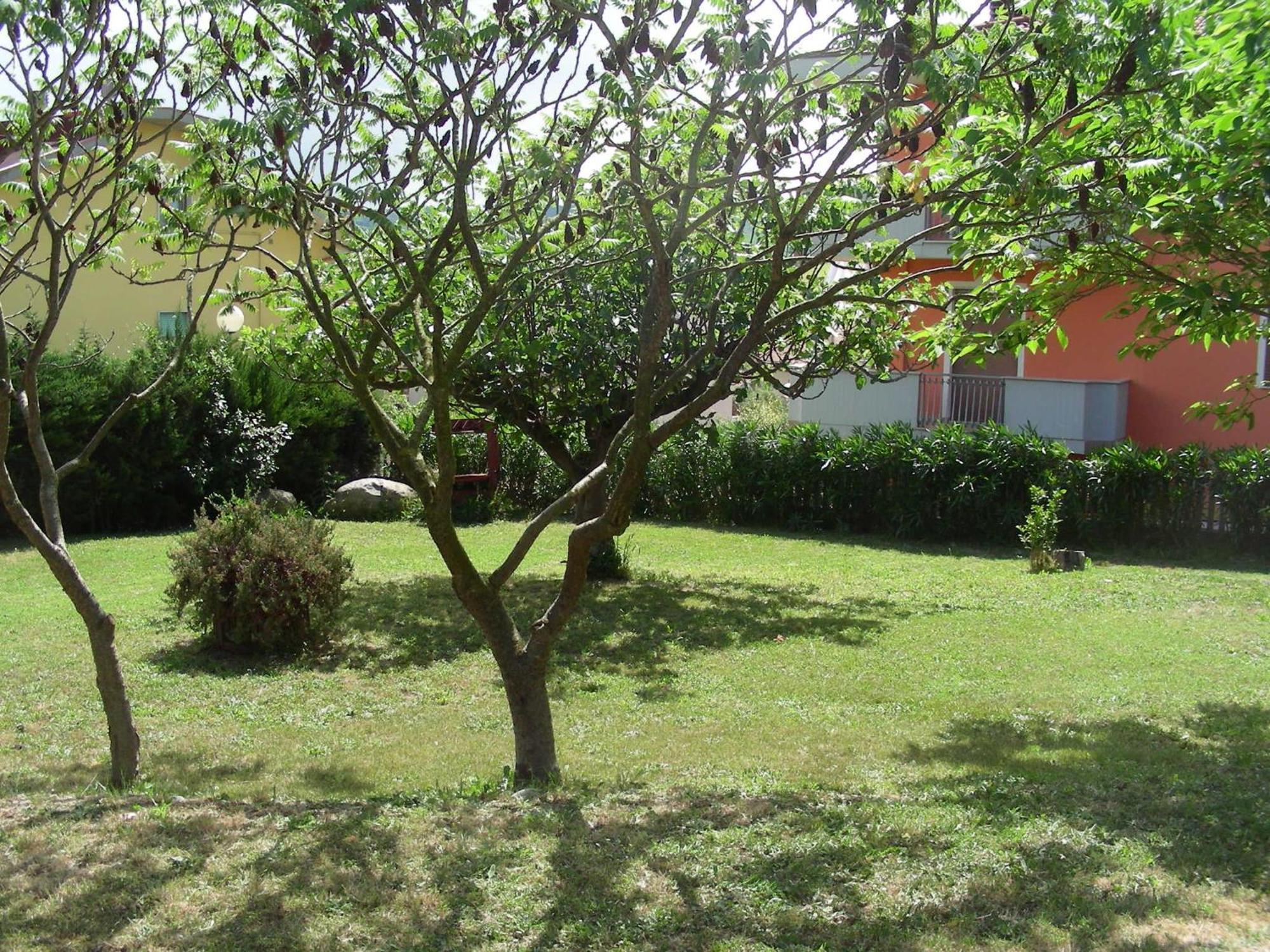 Pier Delle Vigne B&B Pineto Ngoại thất bức ảnh