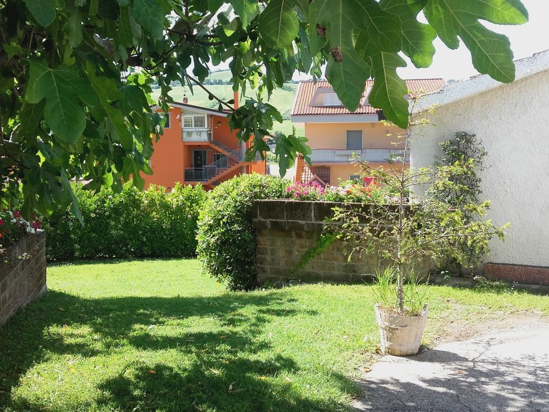 Pier Delle Vigne B&B Pineto Ngoại thất bức ảnh