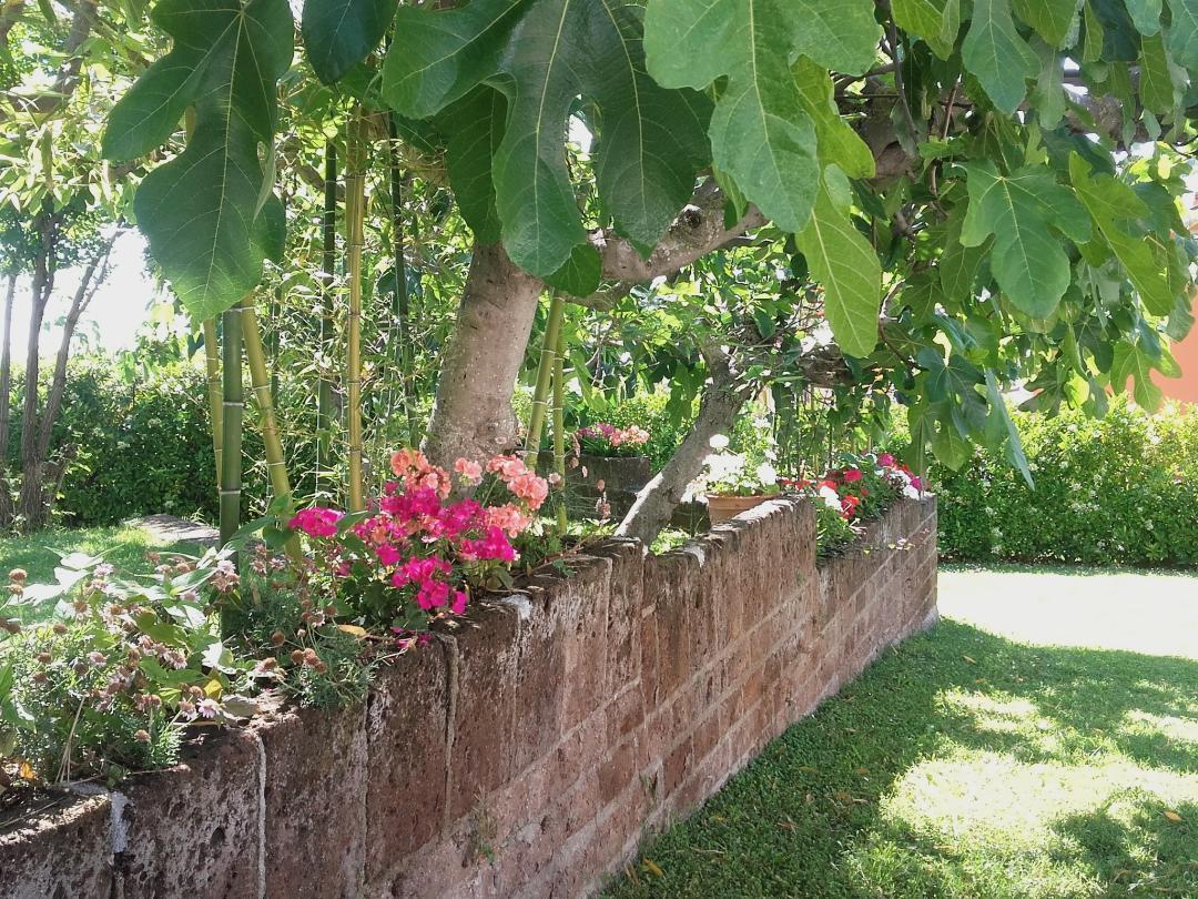 Pier Delle Vigne B&B Pineto Ngoại thất bức ảnh