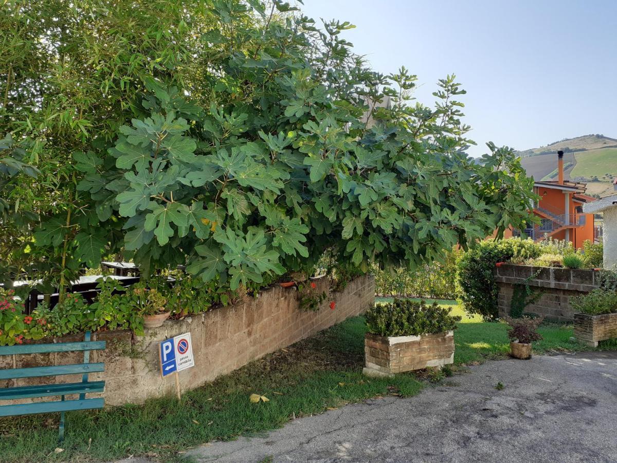 Pier Delle Vigne B&B Pineto Ngoại thất bức ảnh