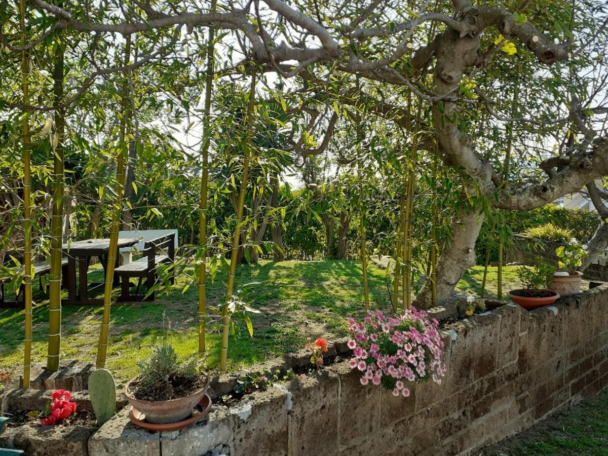 Pier Delle Vigne B&B Pineto Ngoại thất bức ảnh