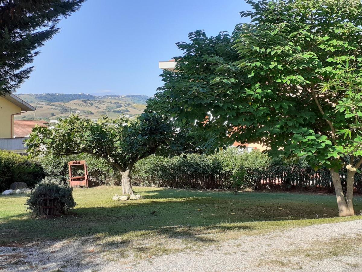 Pier Delle Vigne B&B Pineto Ngoại thất bức ảnh