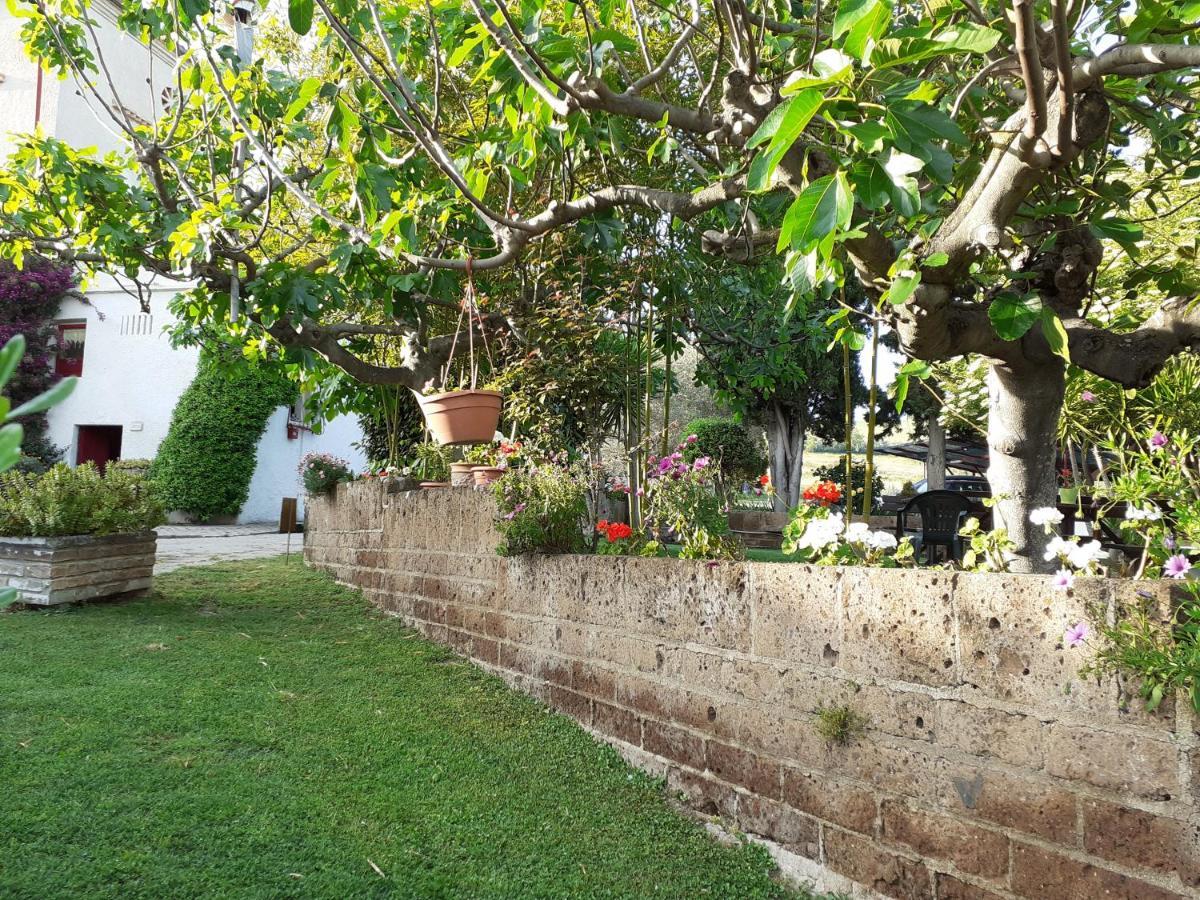 Pier Delle Vigne B&B Pineto Ngoại thất bức ảnh