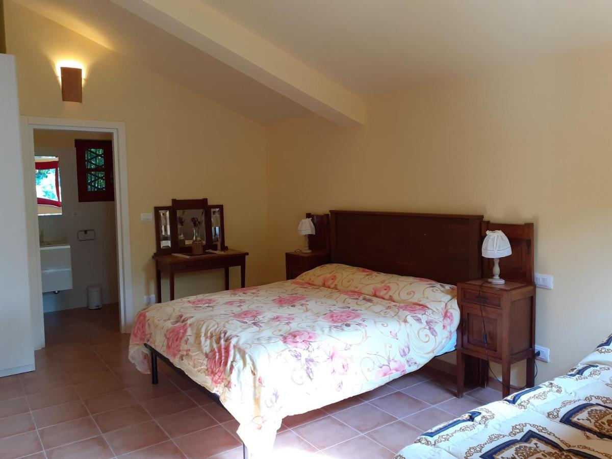 Pier Delle Vigne B&B Pineto Ngoại thất bức ảnh