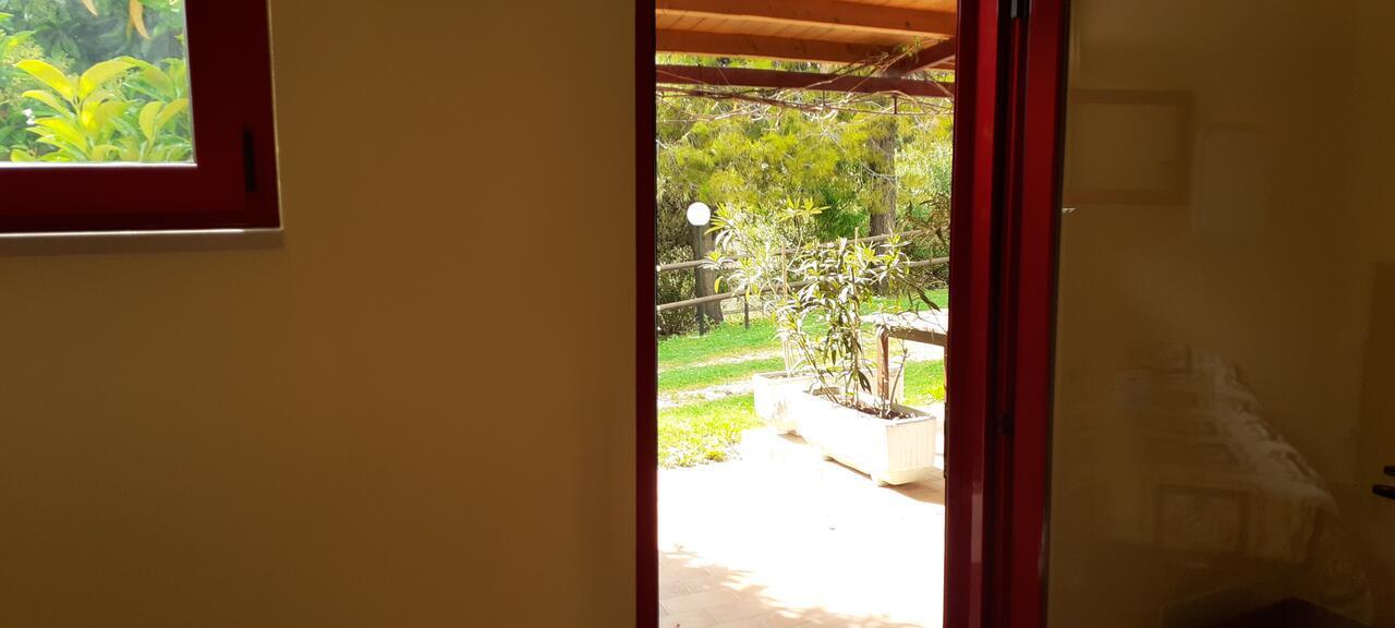 Pier Delle Vigne B&B Pineto Ngoại thất bức ảnh