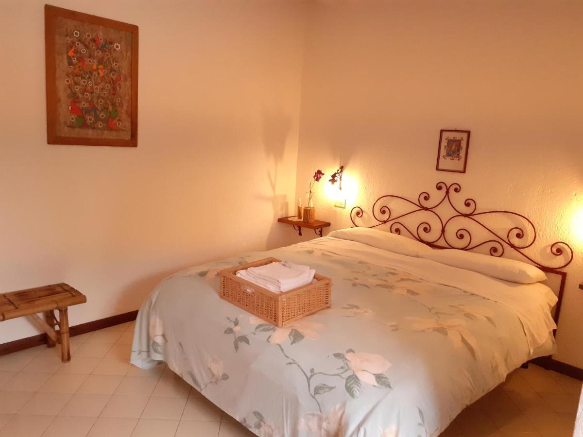 Pier Delle Vigne B&B Pineto Ngoại thất bức ảnh