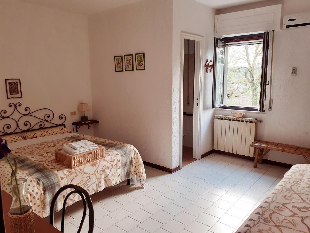 Pier Delle Vigne B&B Pineto Ngoại thất bức ảnh